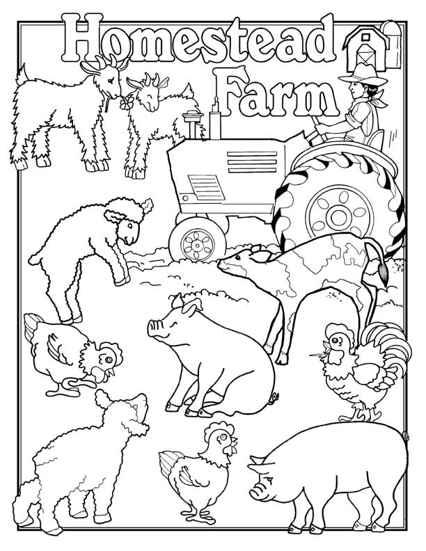 55 Farm Animal Coloring Book Pages 19