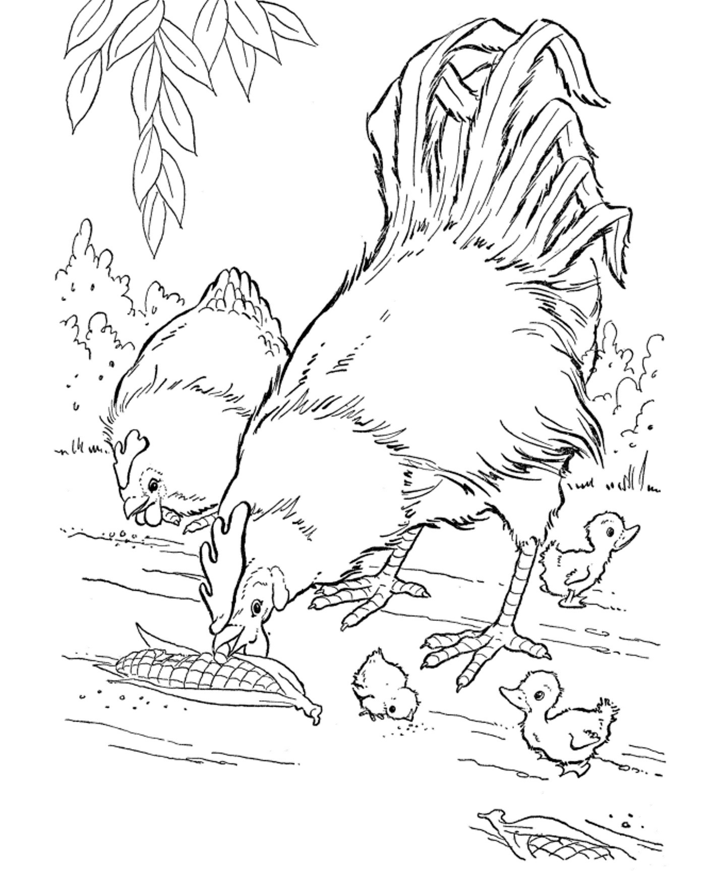 55 Farm Animal Coloring Book Pages 2