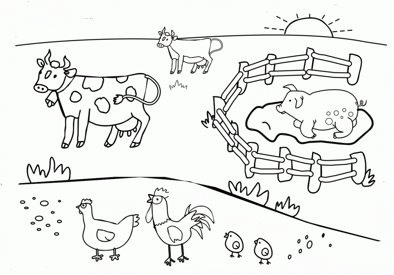 55 Farm Animal Coloring Book Pages 20