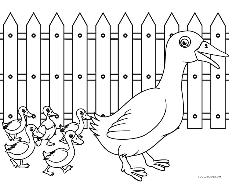 55 Farm Animal Coloring Book Pages 22