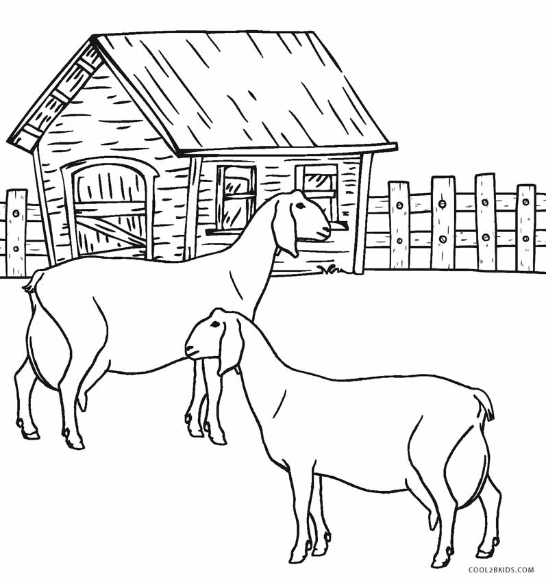 55 Farm Animal Coloring Book Pages 23