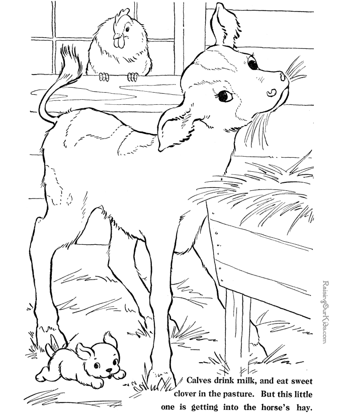 55 Farm Animal Coloring Book Pages 26