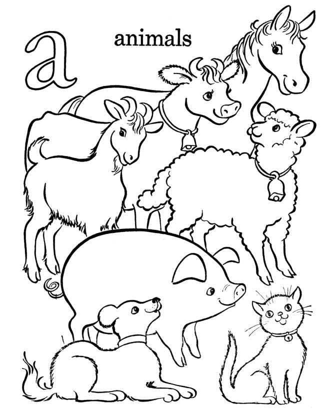 55 Farm Animal Coloring Book Pages 27