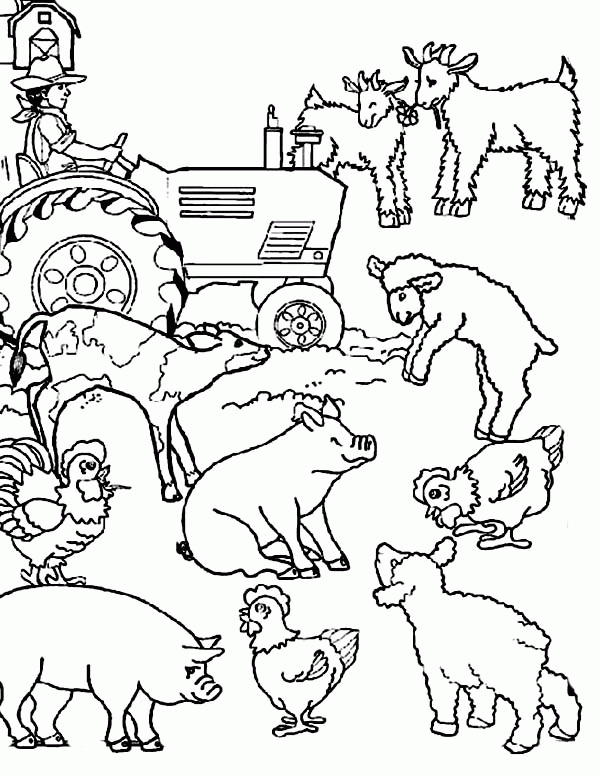 55 Farm Animal Coloring Book Pages 28