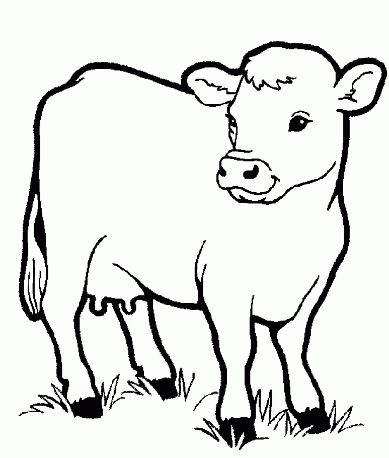 55 Farm Animal Coloring Book Pages 30