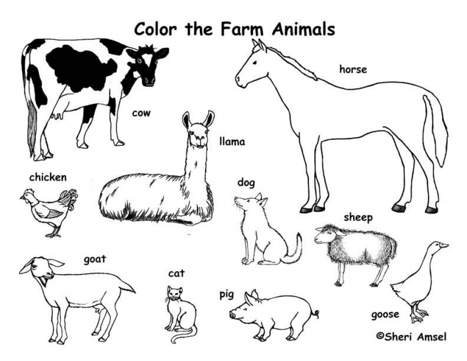 55 Farm Animal Coloring Book Pages 32