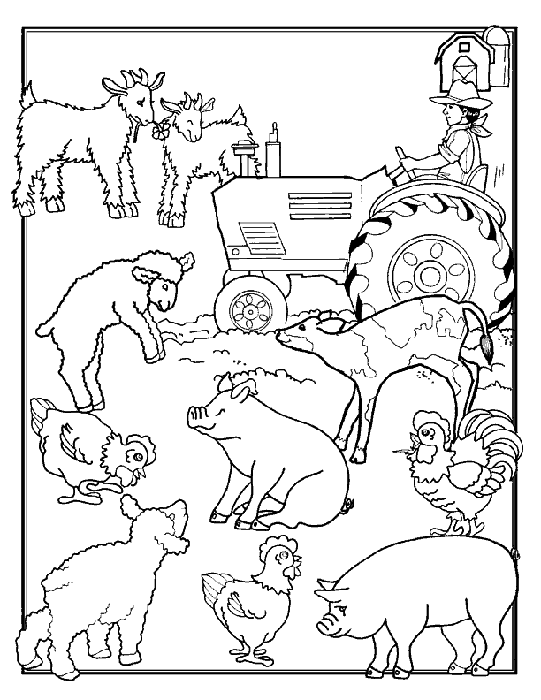 55 Farm Animal Coloring Book Pages 41