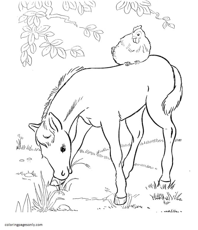 55 Farm Animal Coloring Book Pages 46