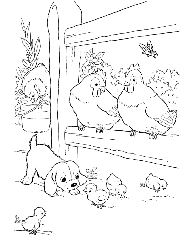 55 Farm Animal Coloring Book Pages 53