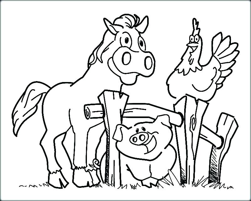 55 Farm Animal Coloring Book Pages 55