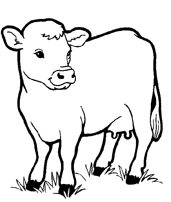 55 Farm Animal Coloring Book Pages 57