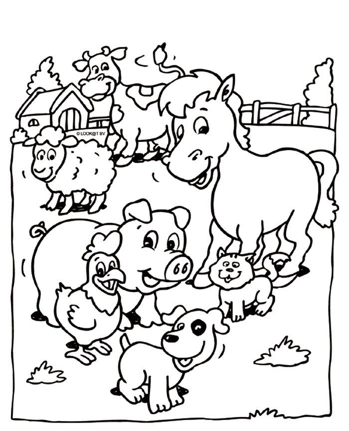 55 Farm Animal Coloring Book Pages 60