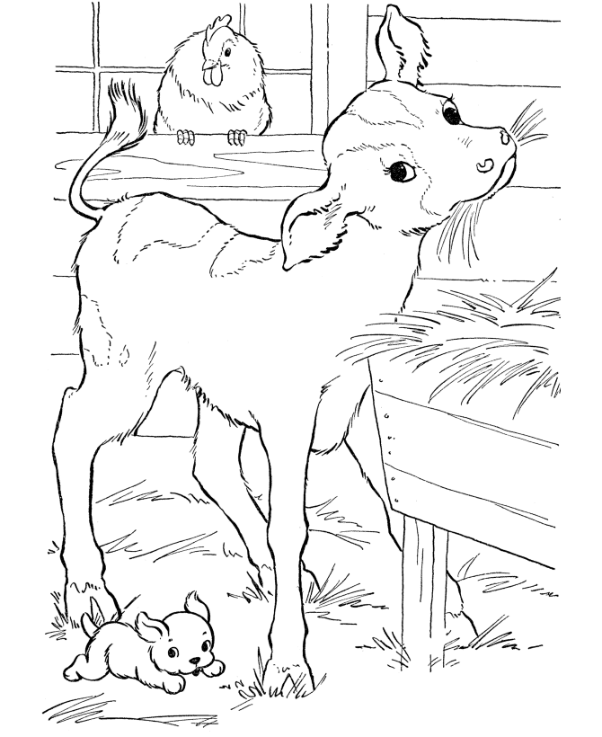 55 Farm Animal Coloring Book Pages 63