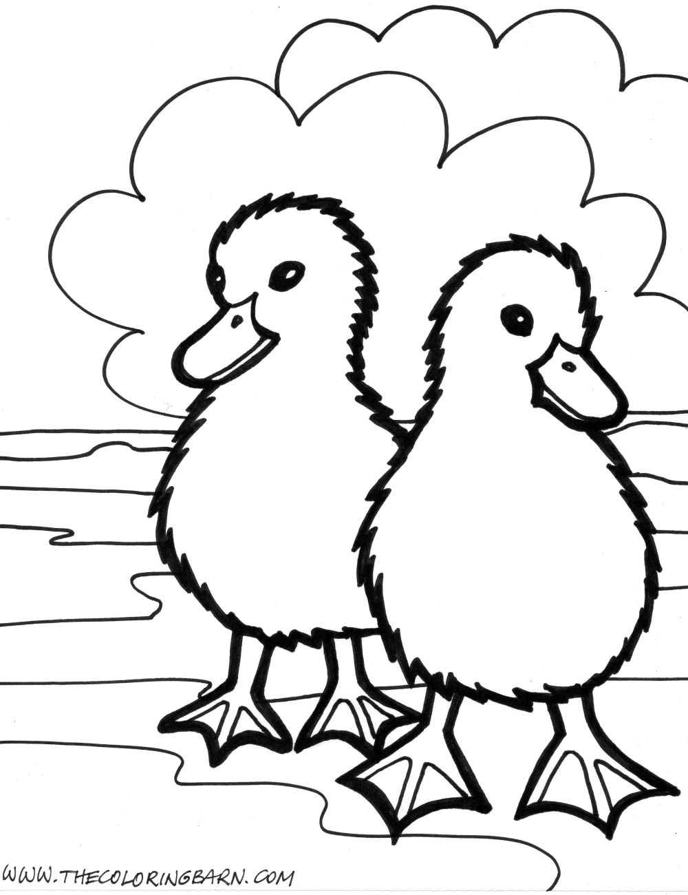 55 Farm Animal Coloring Book Pages 64