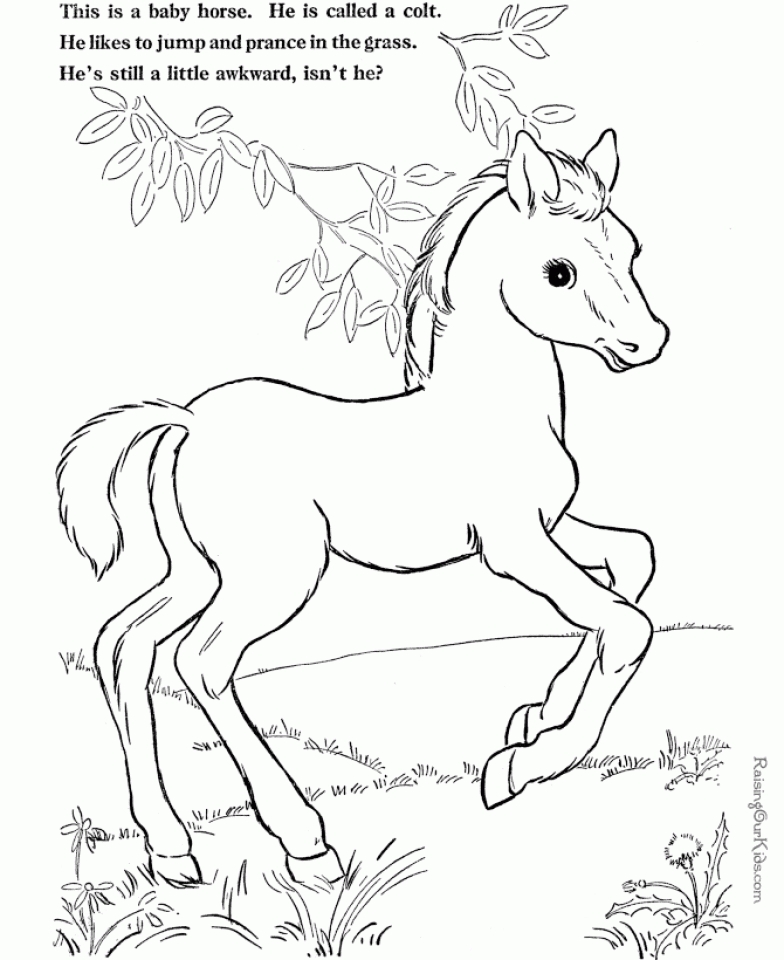 55 Farm Animal Coloring Book Pages 67