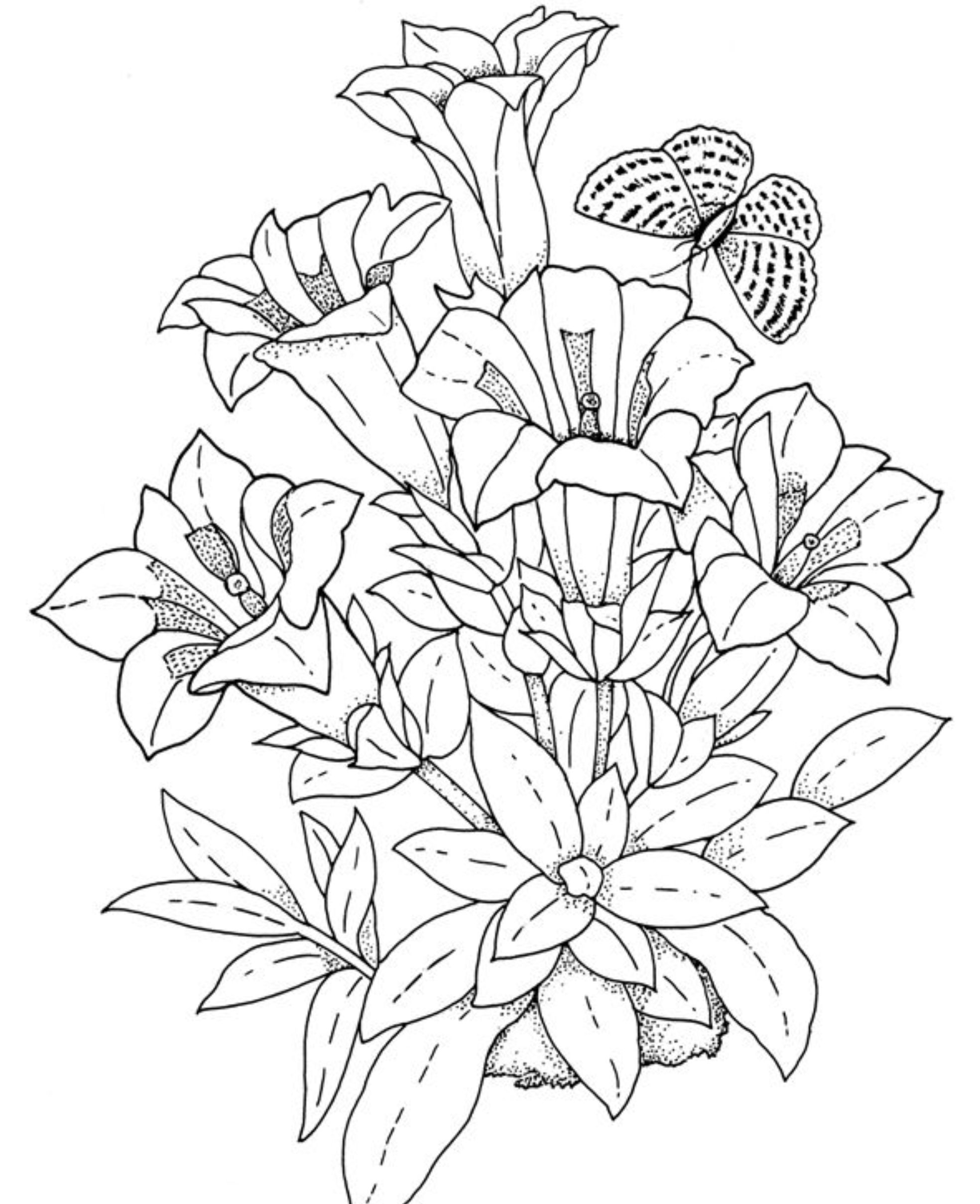 55 Flower Coloring Books 11