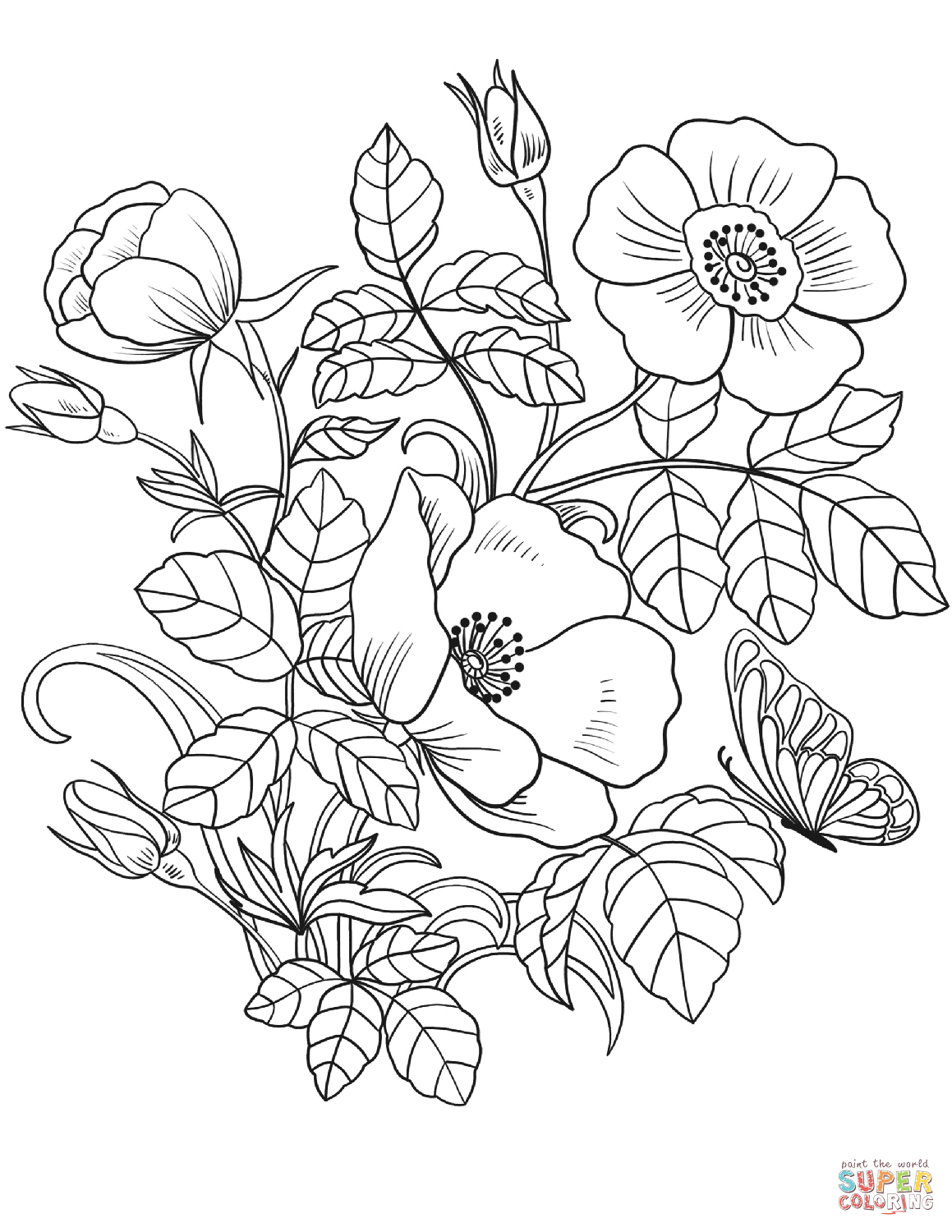 55 Flower Coloring Books 2