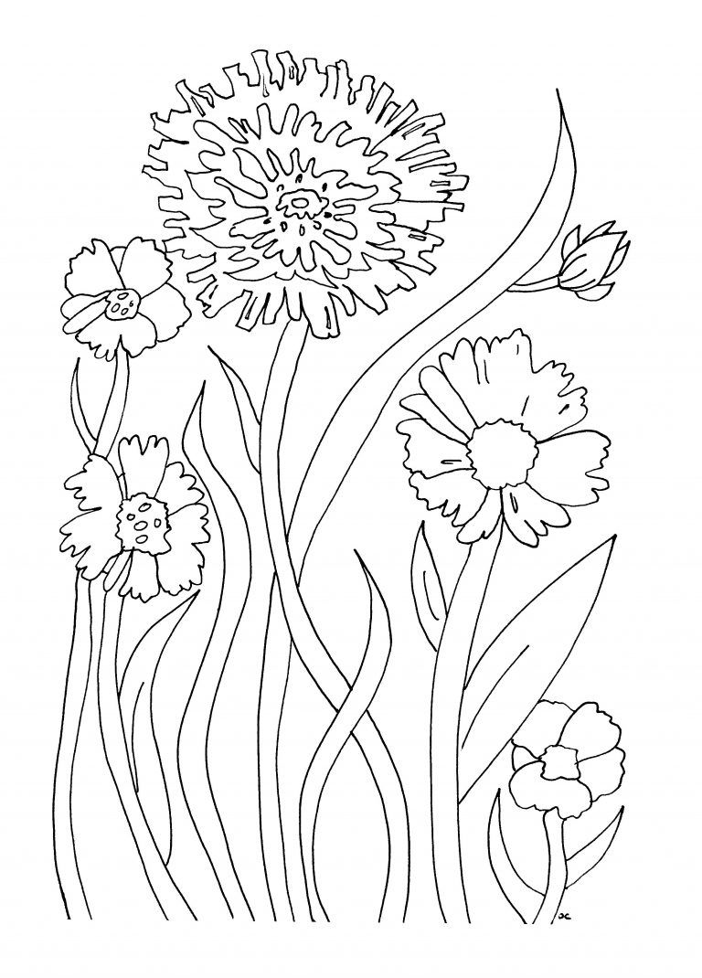 55 Flower Coloring Books 20