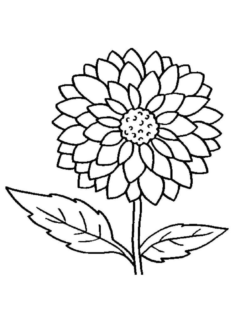 55 Flower Coloring Books 23