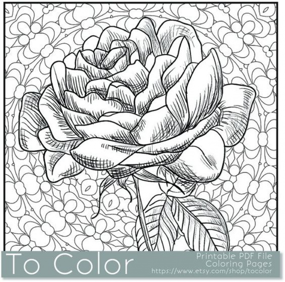 55 Flower Coloring Books 24