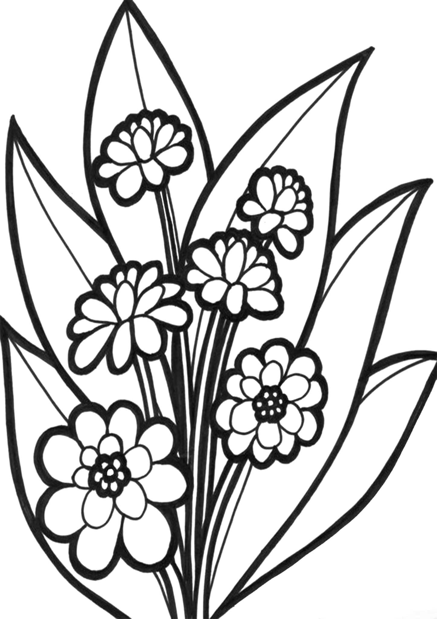 55 Flower Coloring Books 26