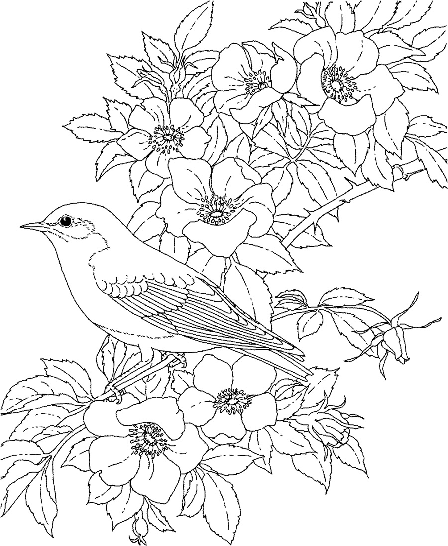 55 Flower Coloring Books 33