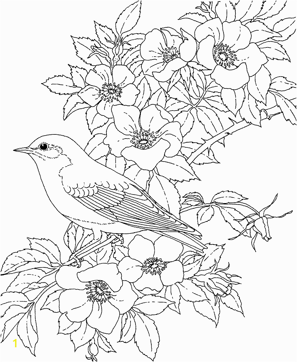 55 Flower Coloring Books 35