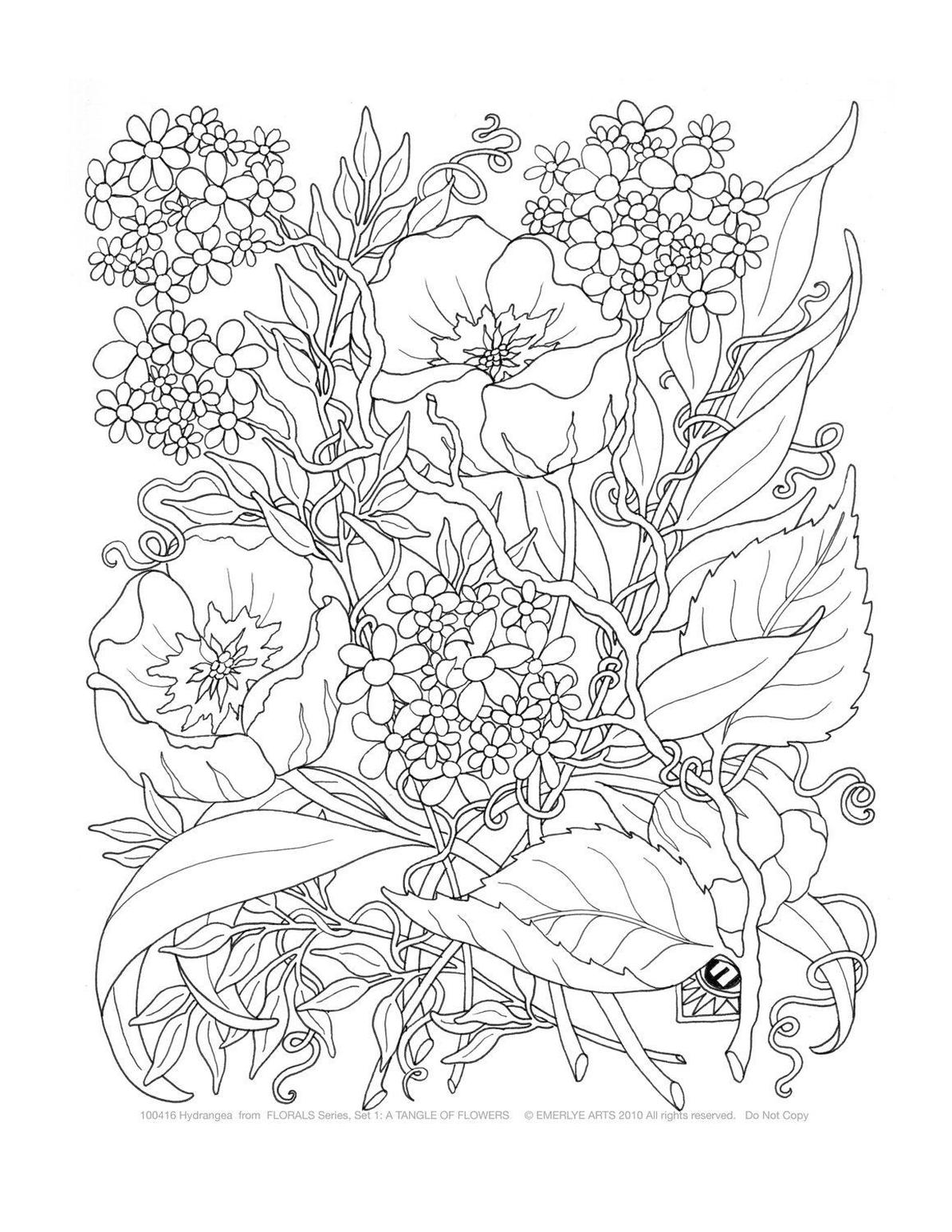 55 Flower Coloring Books 37