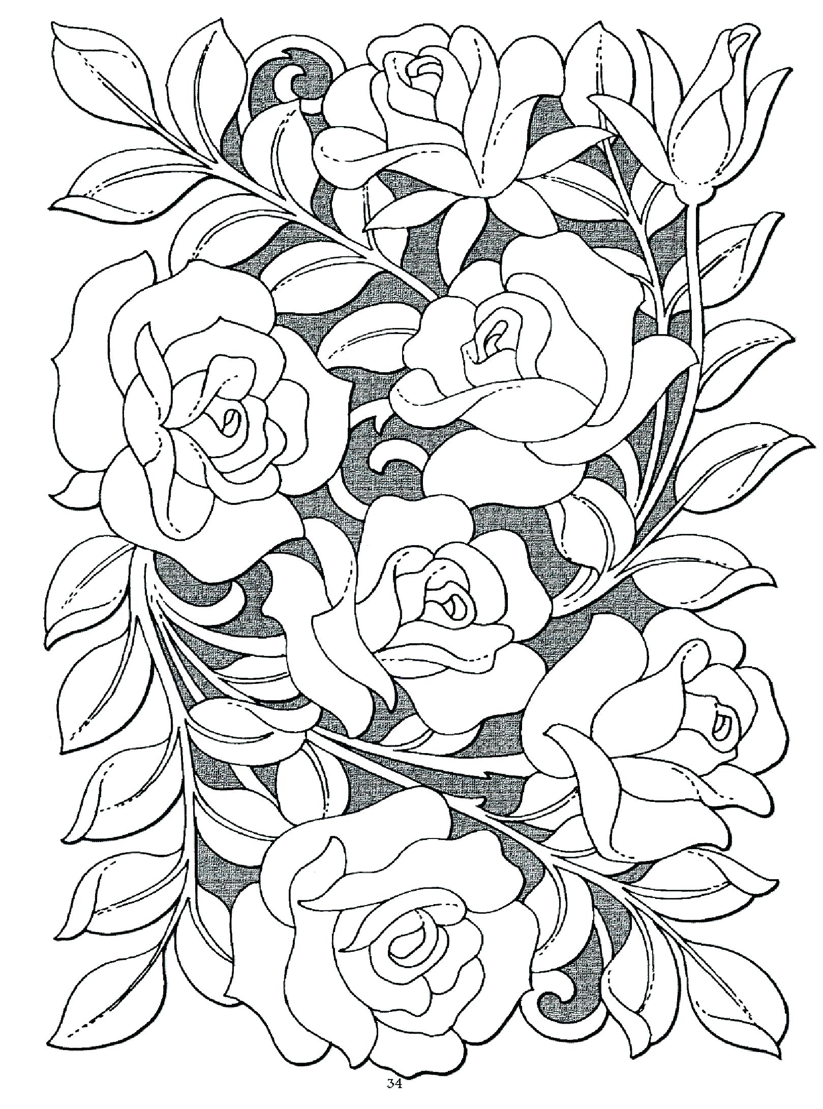 55 Flower Coloring Books 40