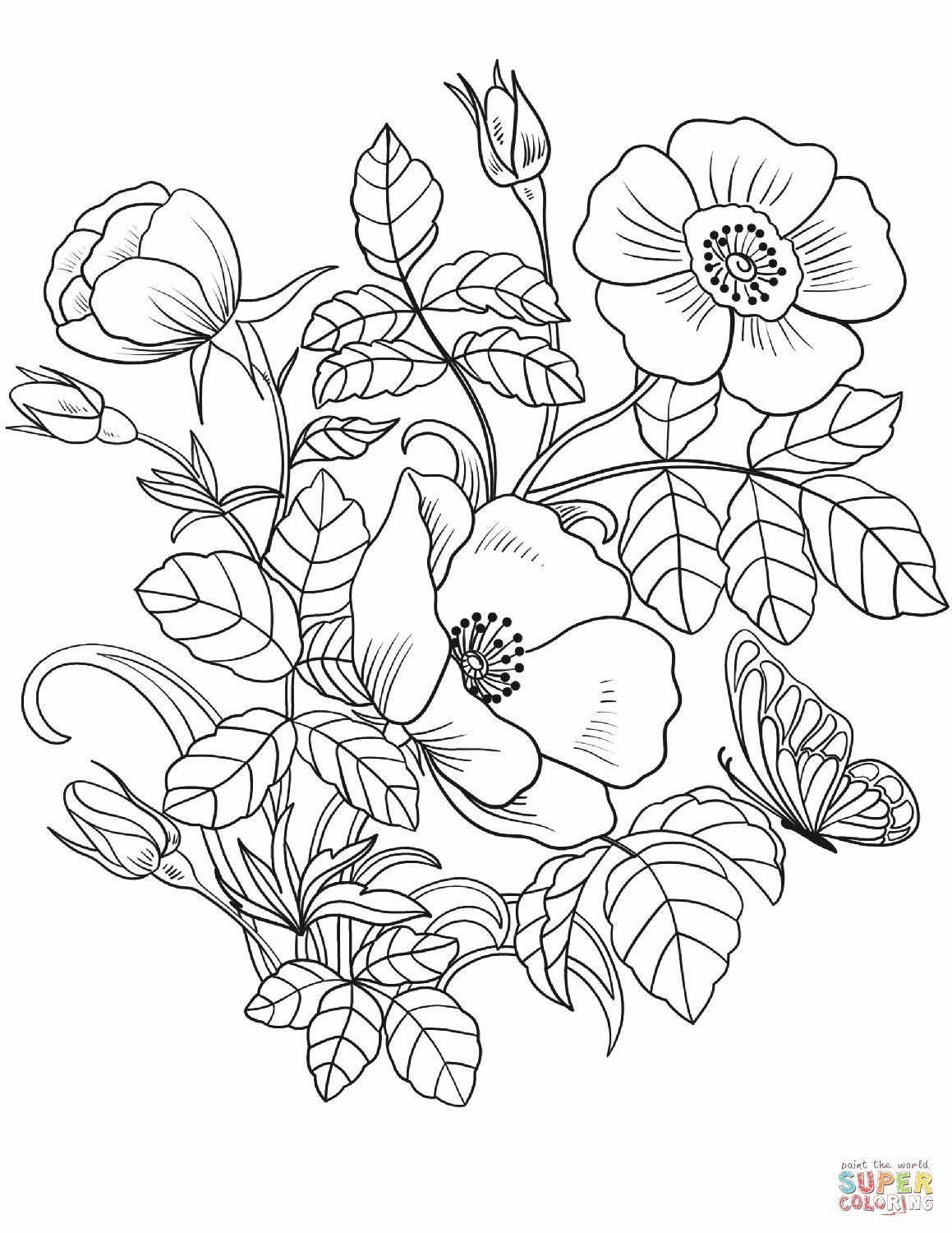 55 Flower Coloring Books 6