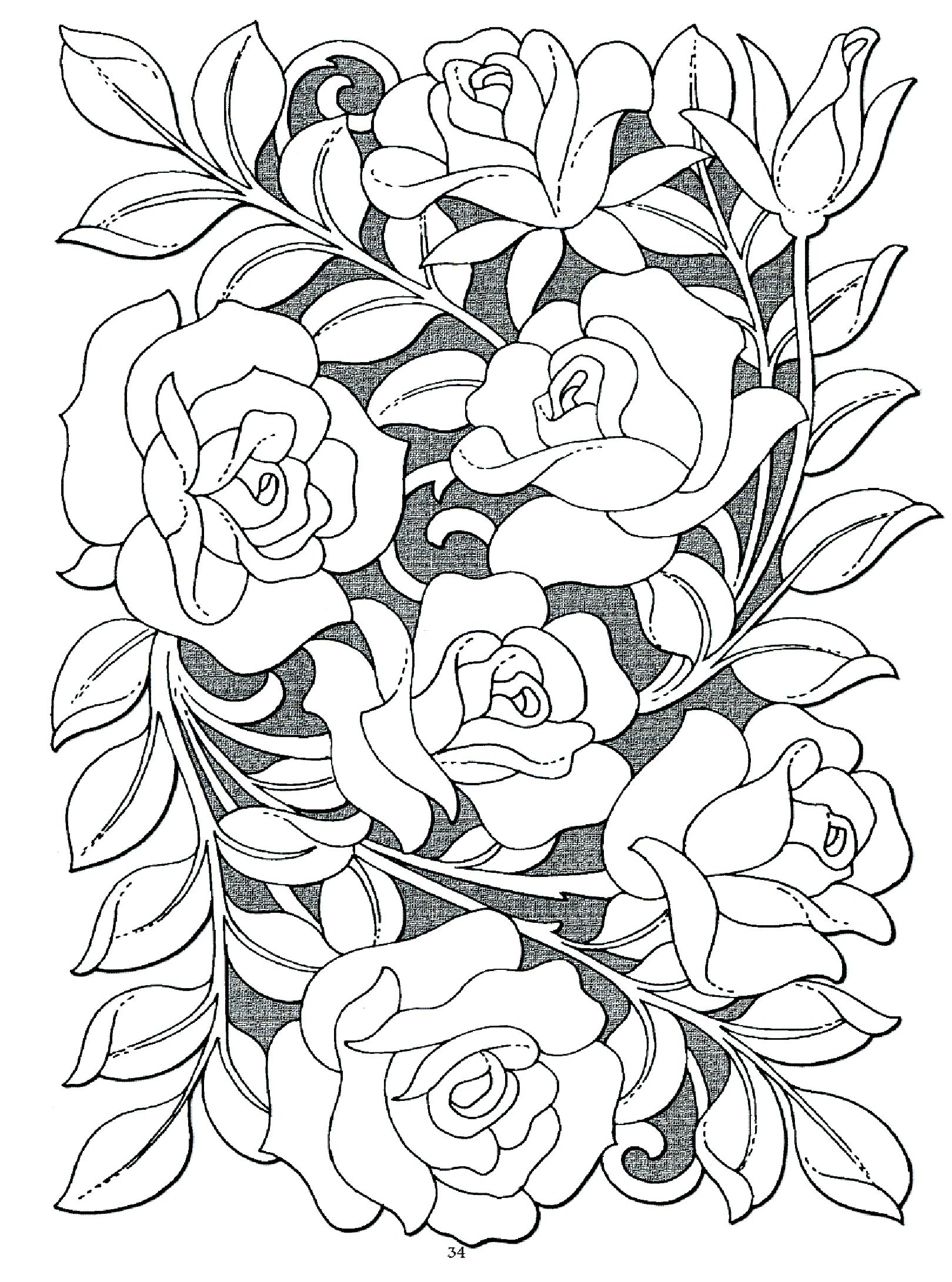 55 Flower Coloring Books 66