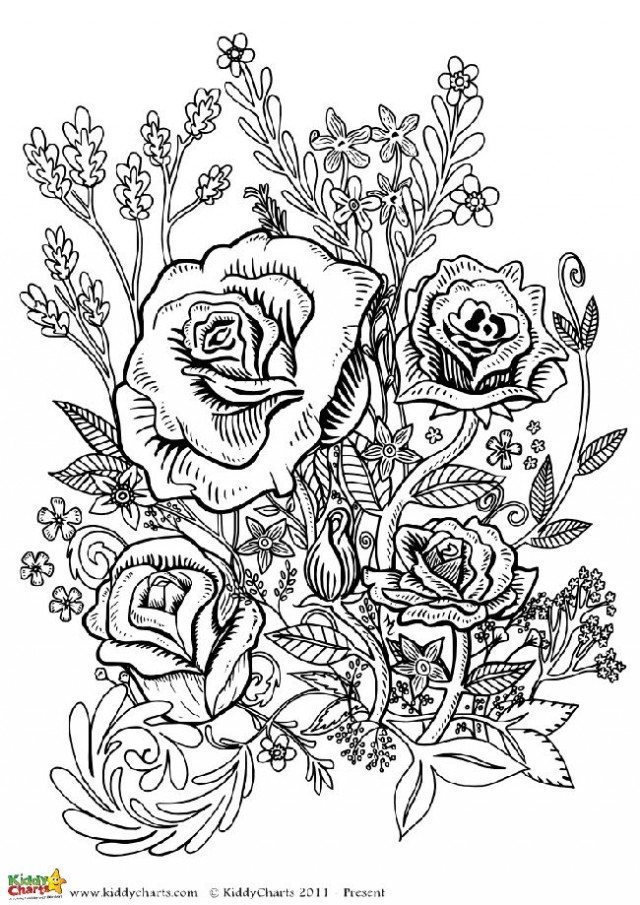 55 Flower Coloring Books 68