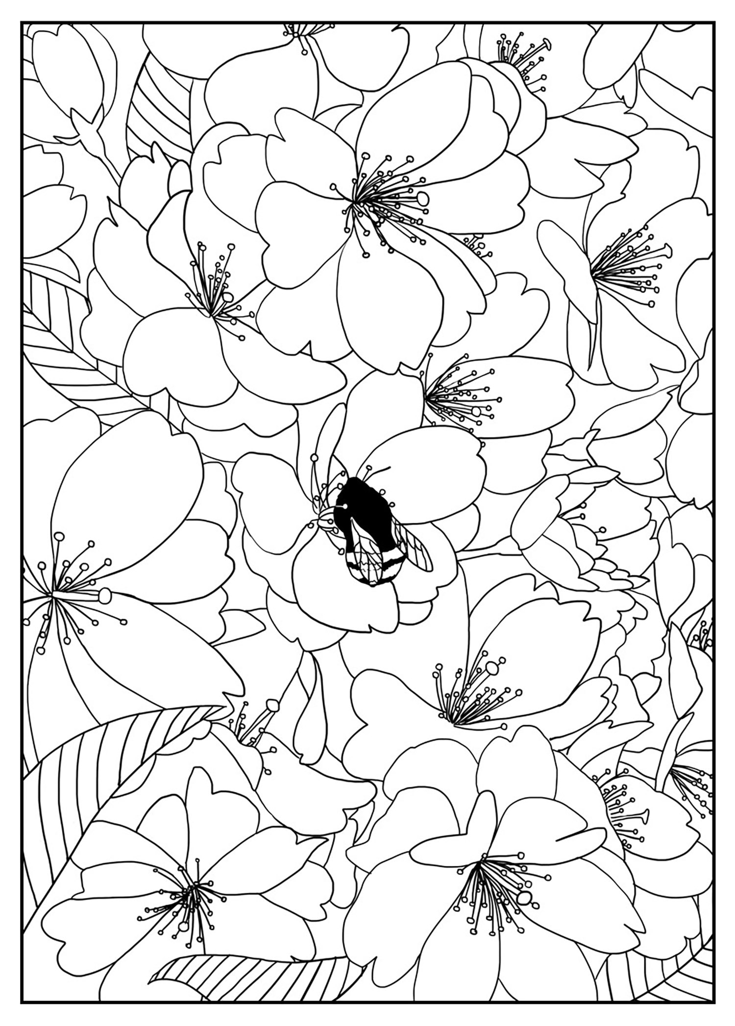 55 Flower Coloring Books 7