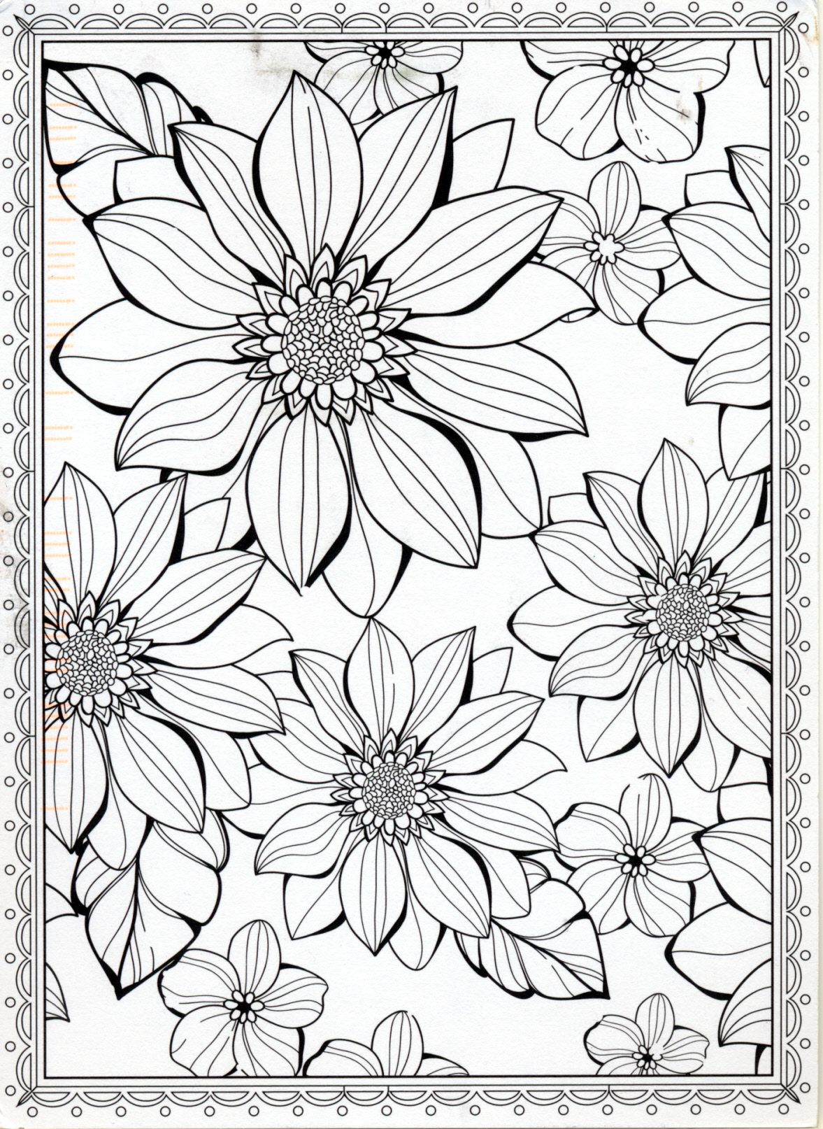 55 Flower Coloring Books 9