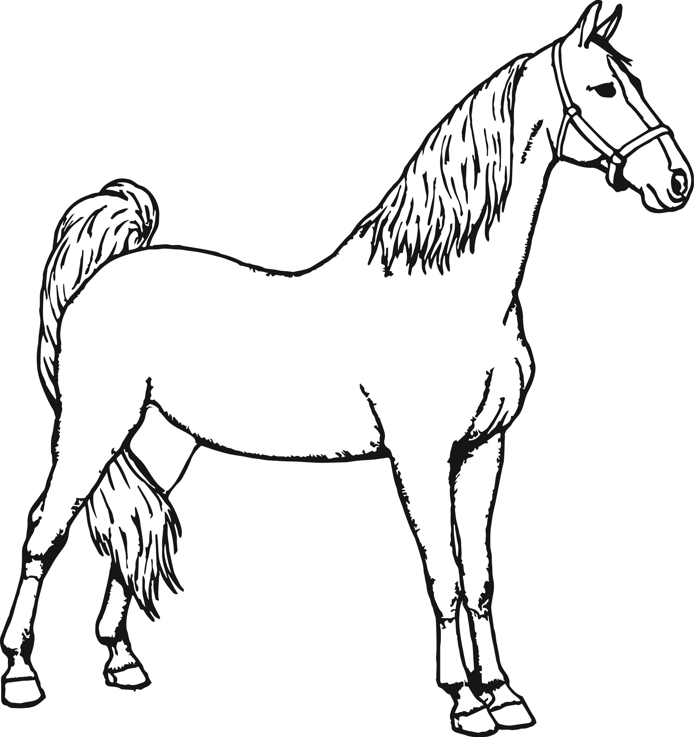 50 Horse Coloring Book 10