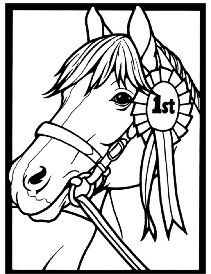 50 Horse Coloring Book 11