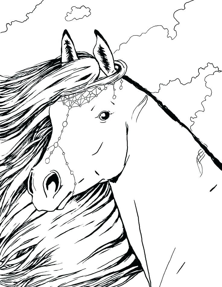 50 Horse Coloring Book 12