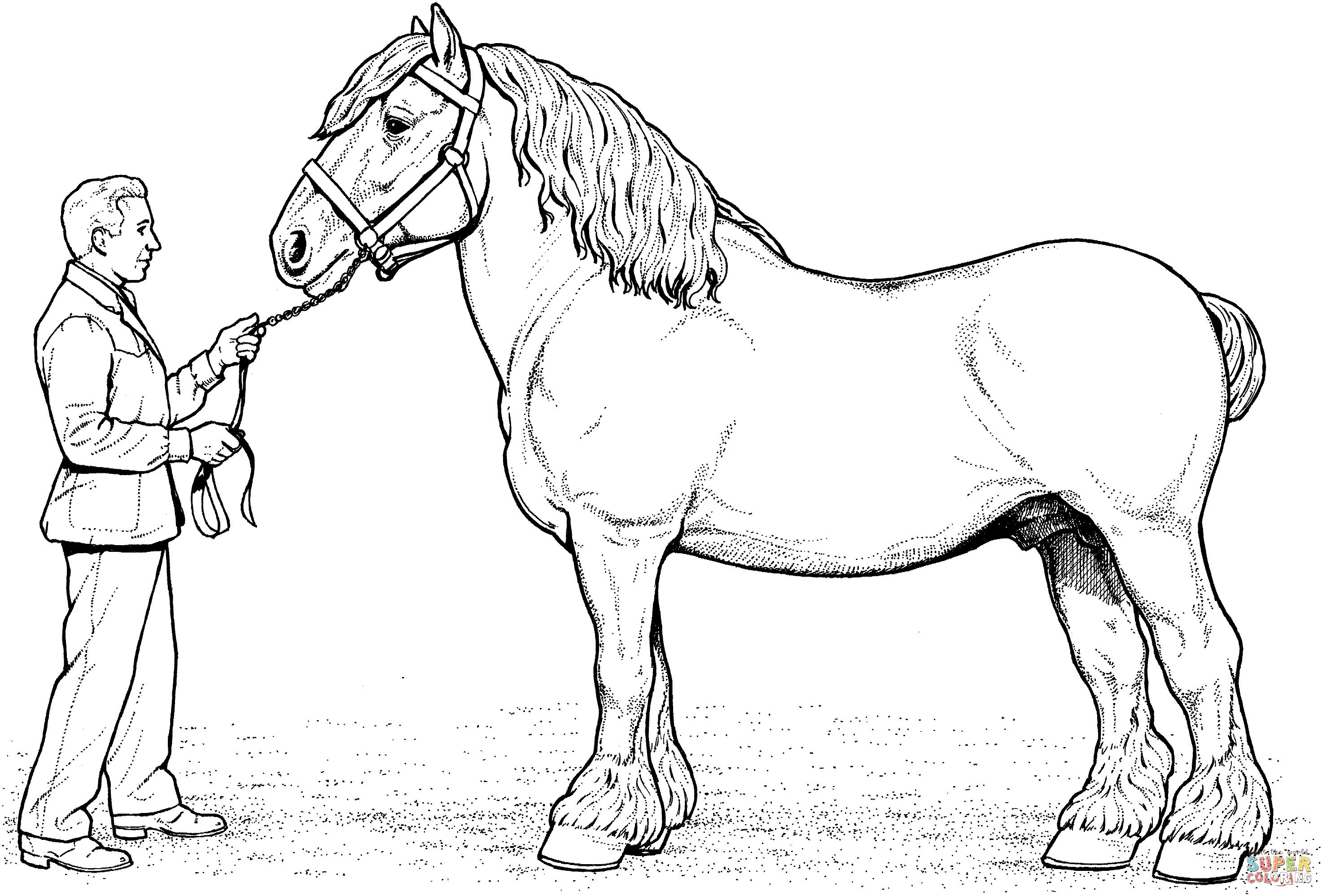 50 Horse Coloring Book 13