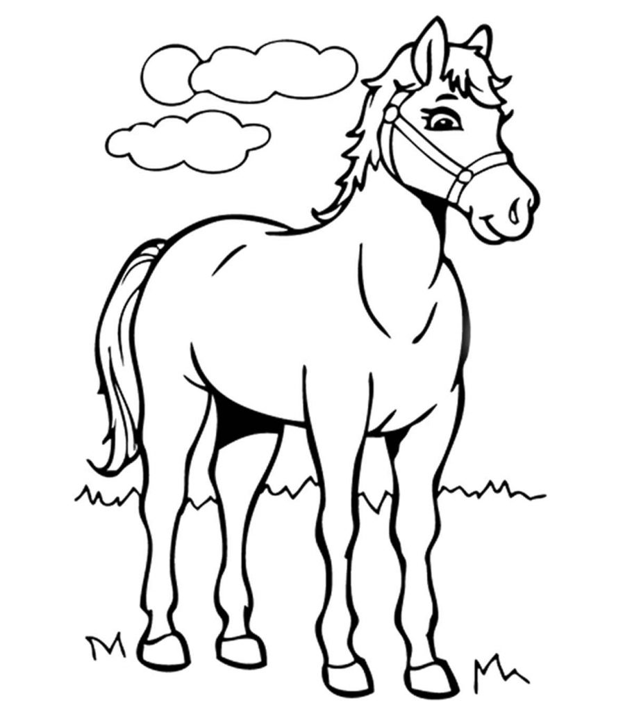 50 Horse Coloring Book 15