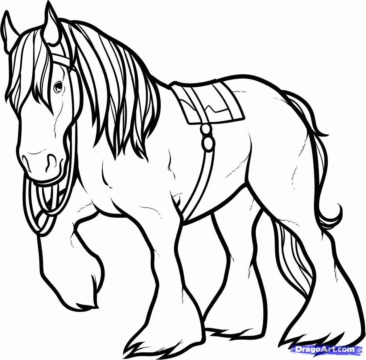 50 Horse Coloring Book 17