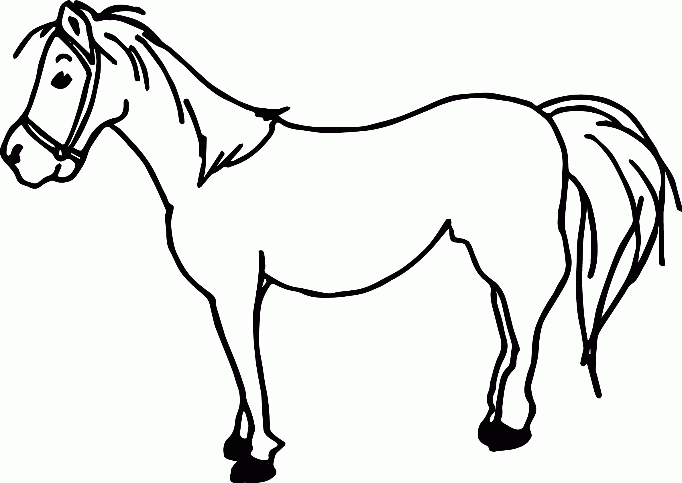 50 Horse Coloring Book 18