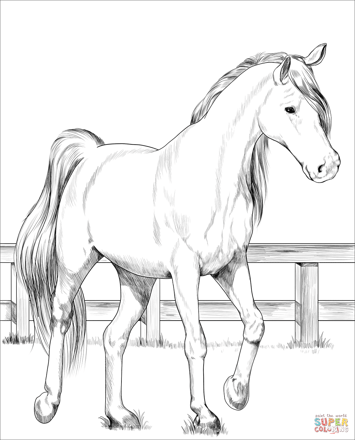 50 Horse Coloring Book 19