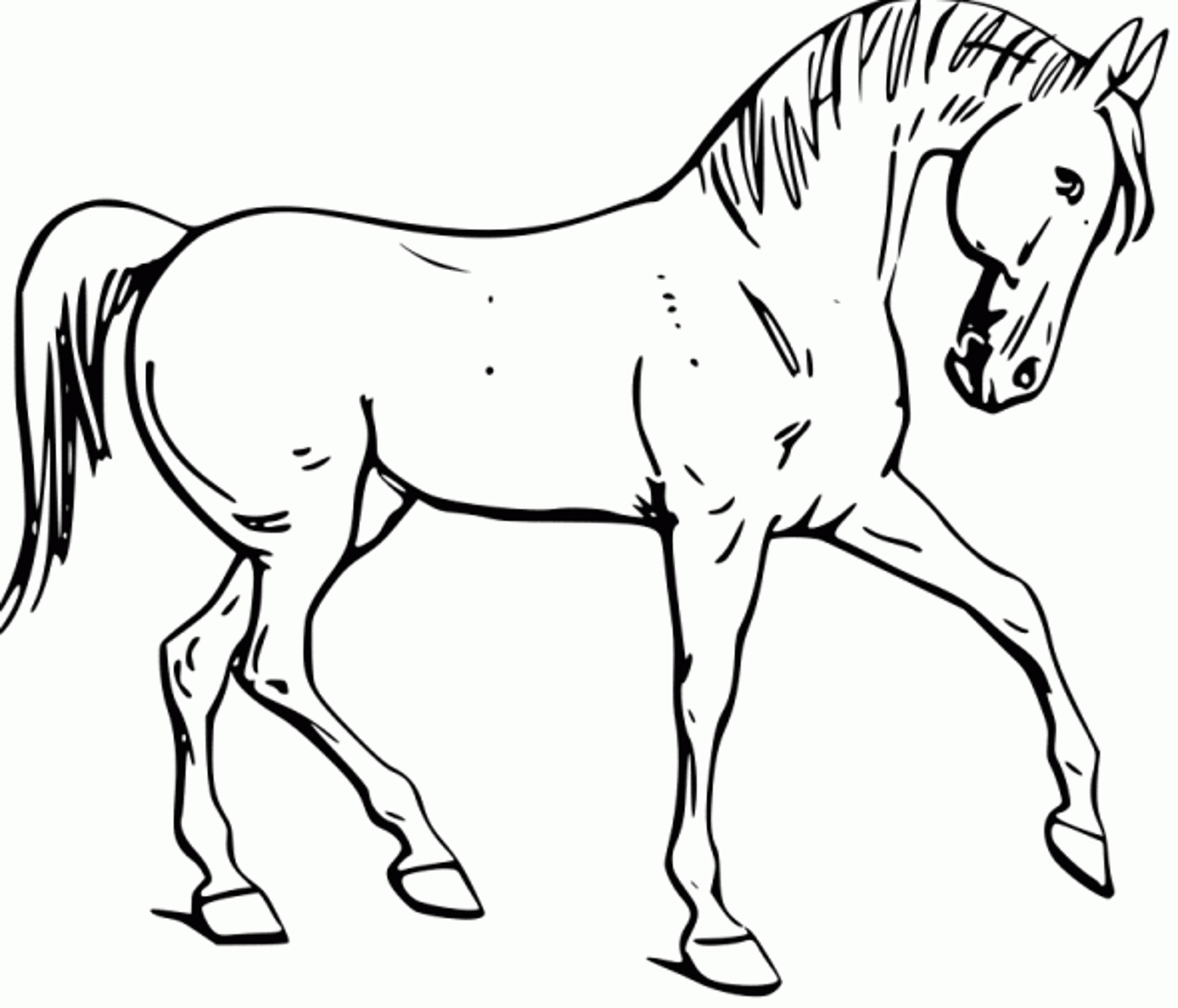 50 Horse Coloring Book 2