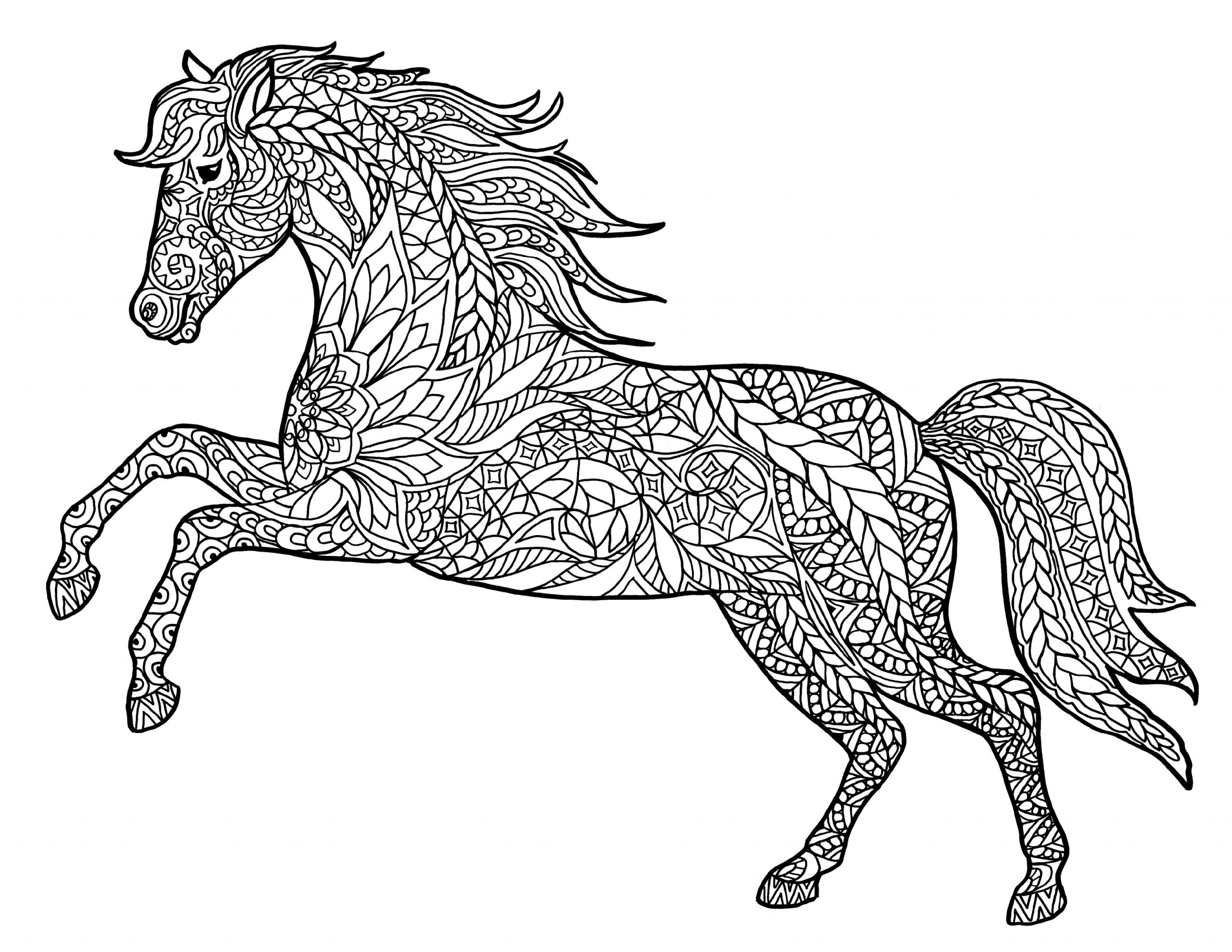 50 Horse Coloring Book 20