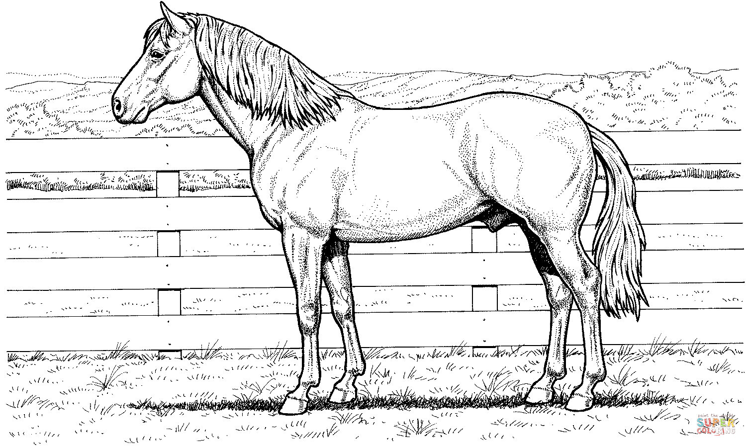 50 Horse Coloring Book 23