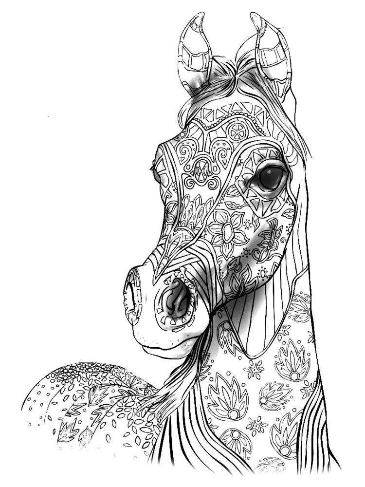 50 Horse Coloring Book 24