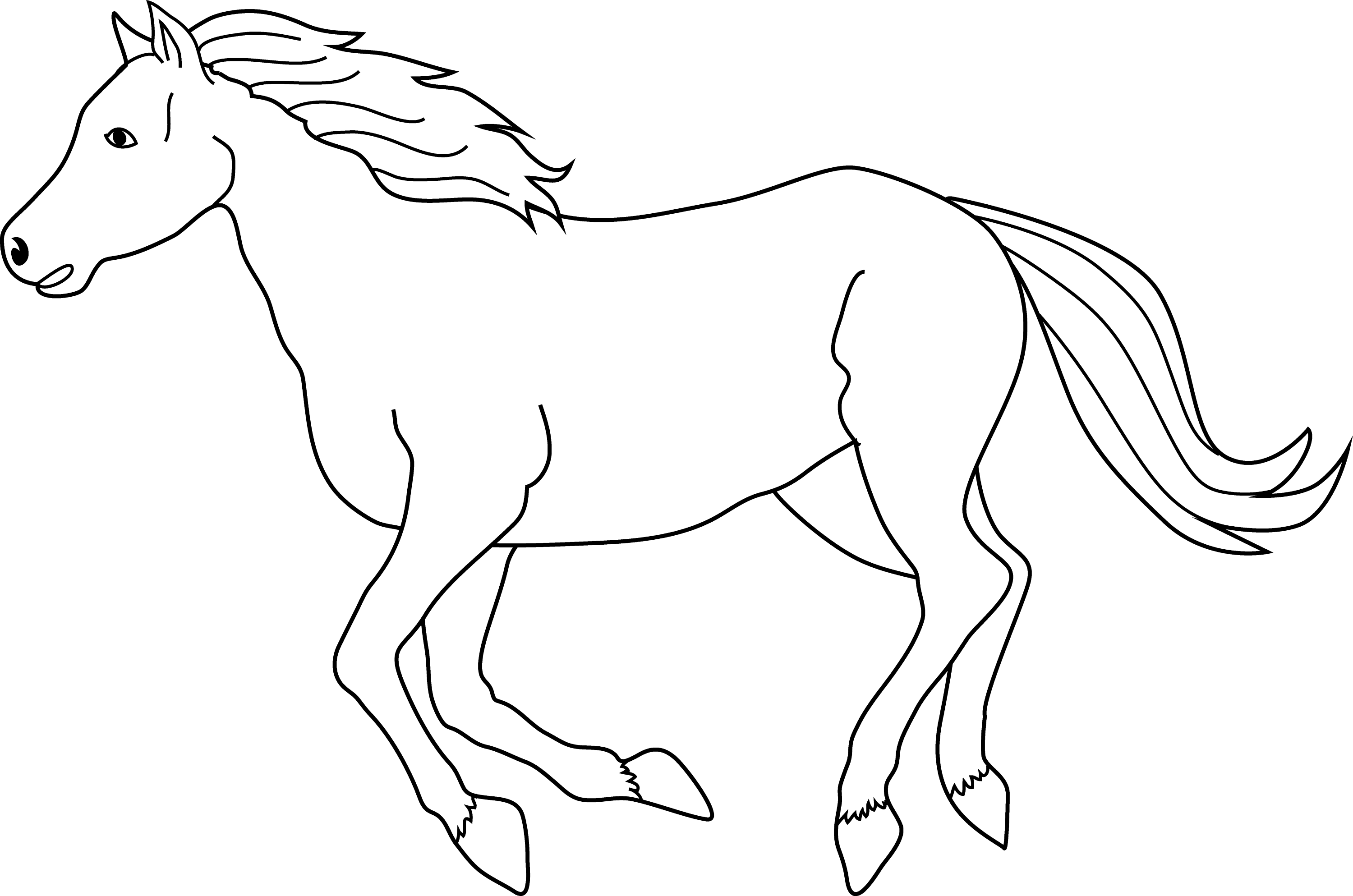 50 Horse Coloring Book 29