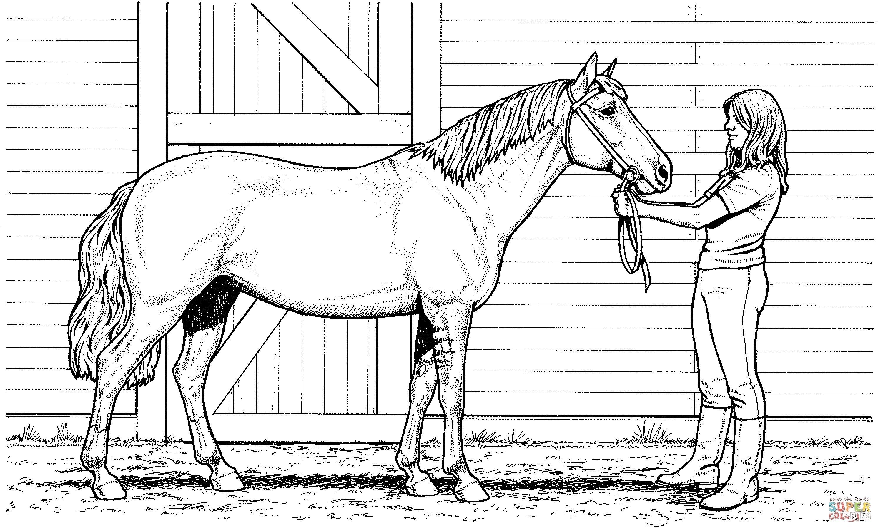 50 Horse Coloring Book 31