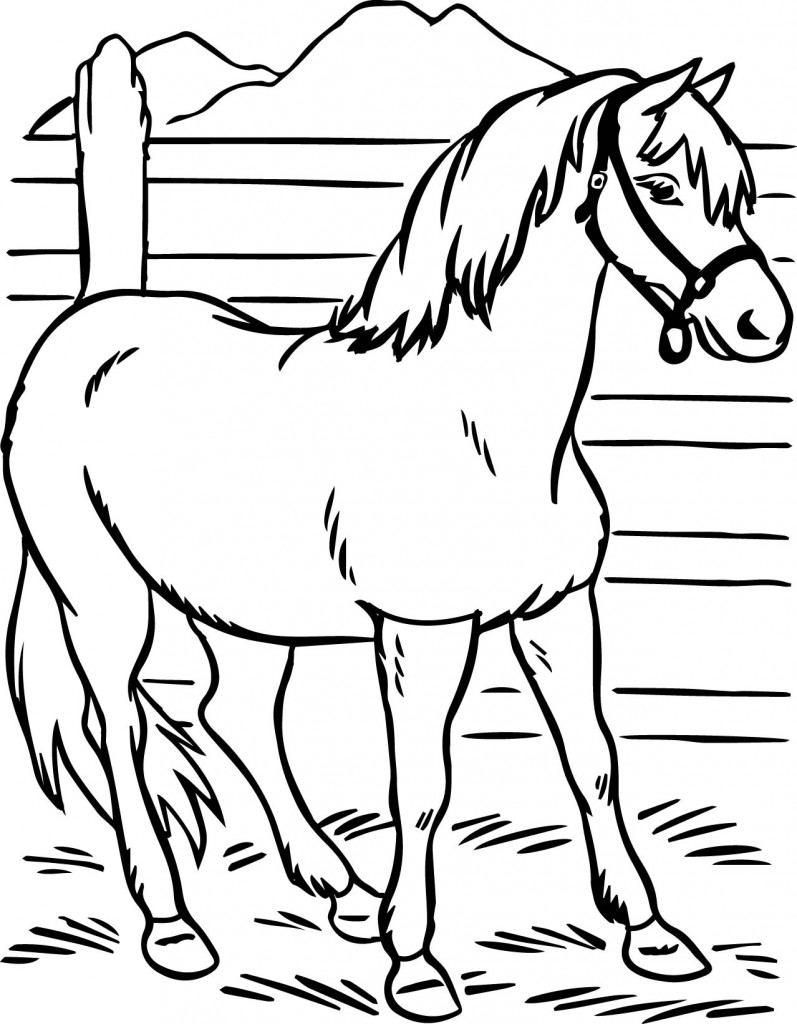 50 Horse Coloring Book 33