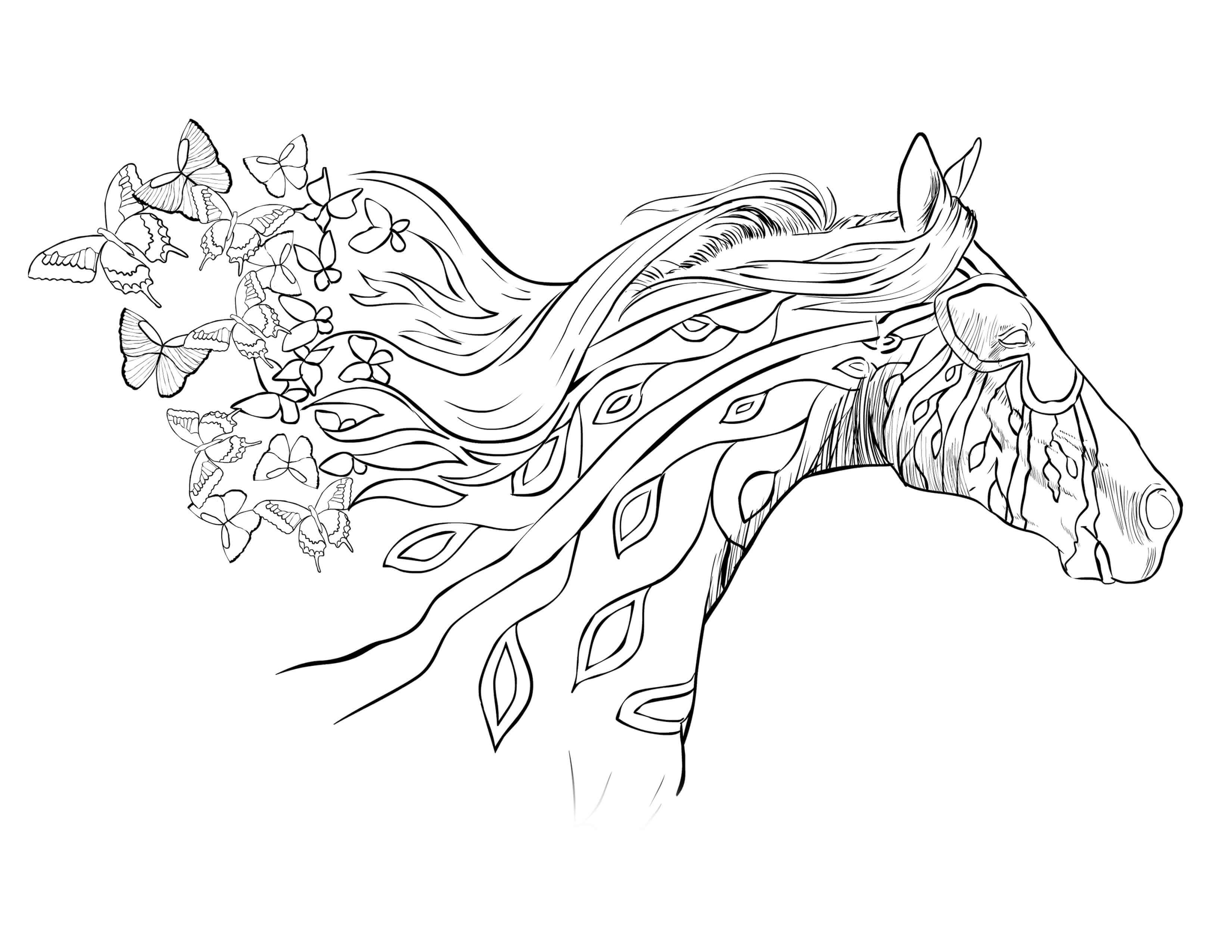 50 Horse Coloring Book 34